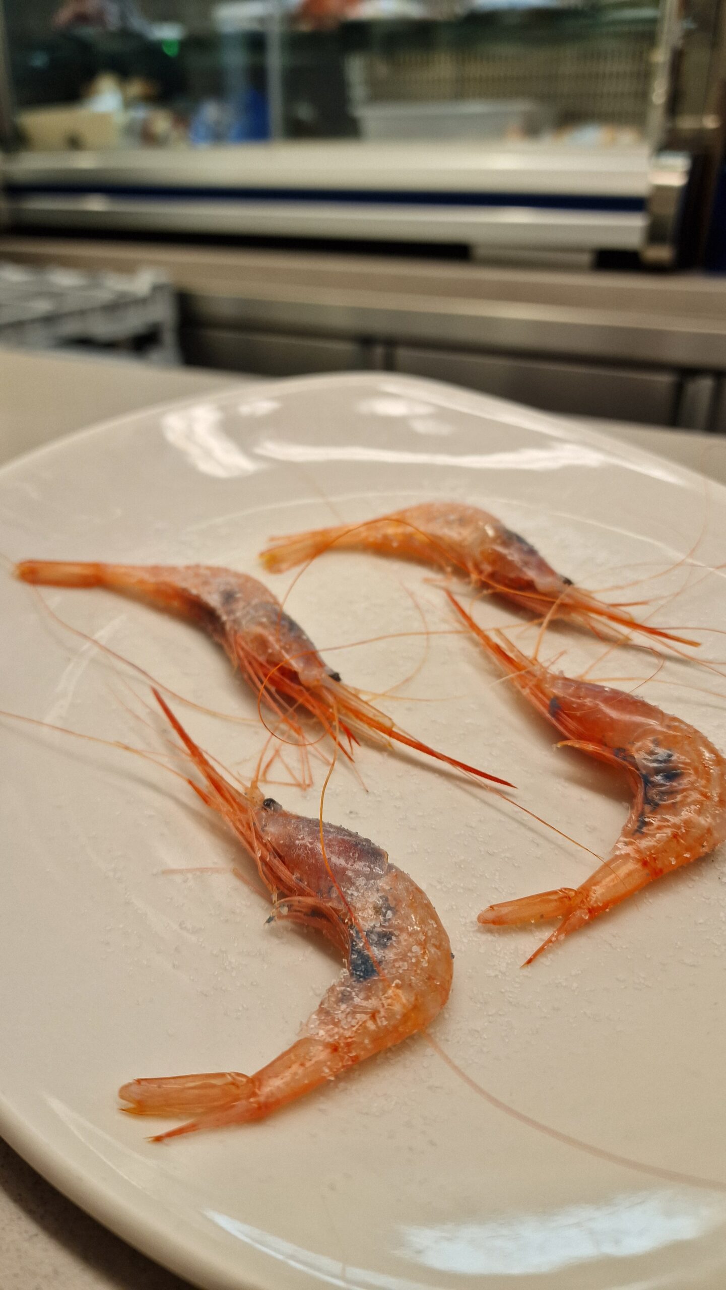 Quisquilla de Motril a la plancha en Bar FM Granada